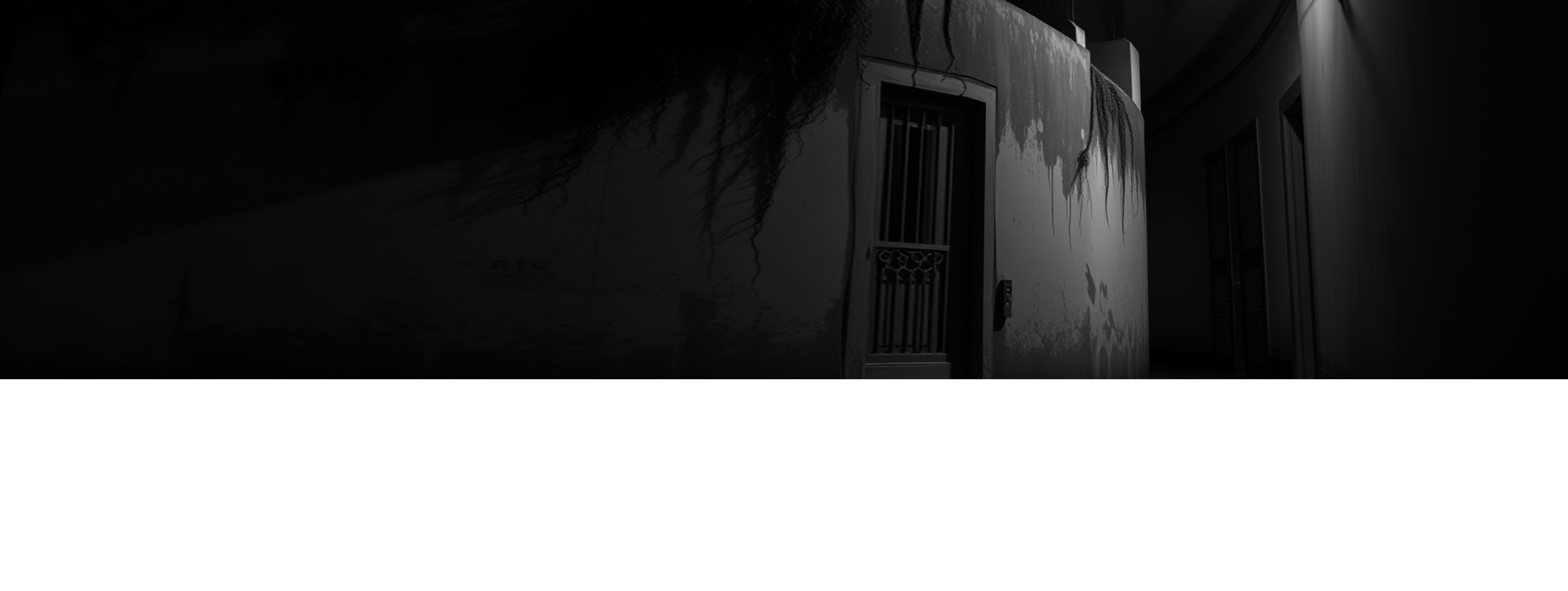 Panel 13 bg
